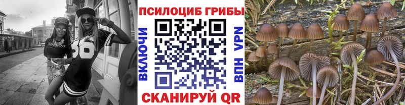 как найти наркотики  Уварово  Галлюциногенные грибы MAGIC MUSHROOMS 